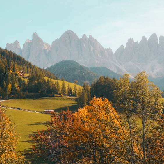 Contact Badukinabelaku About 06