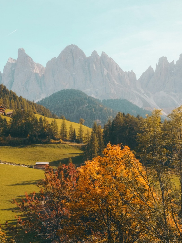 Contact Badukinabelaku Natures 02